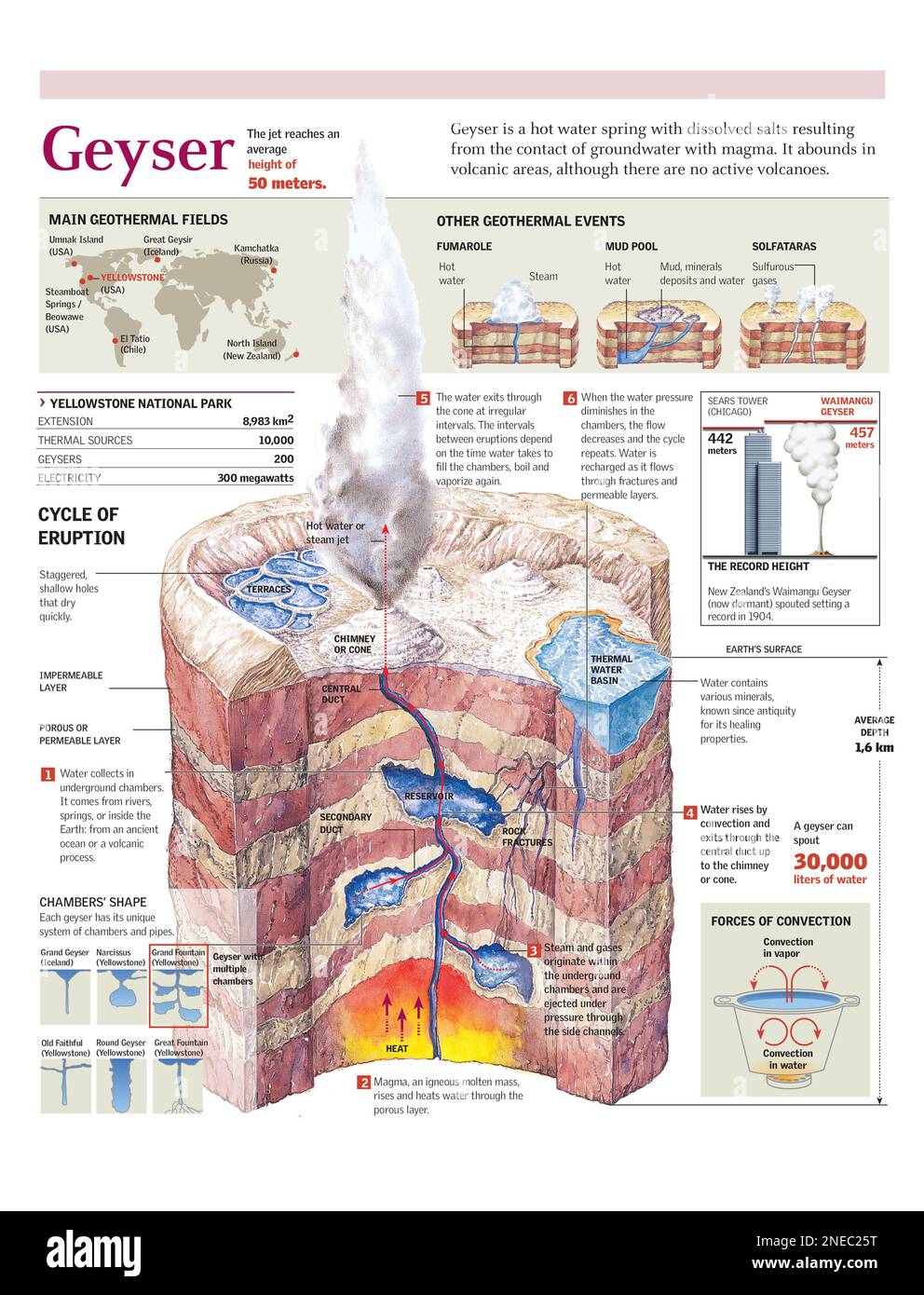 Infographics of the eruptive cycle - Infographics Of The Eruptive Cycle Of A Geyser In Yellowstone National Park Map Of The Major Geothermal Fields In The World Adobe Illustrator Ai 2480x3248 2NEC25T