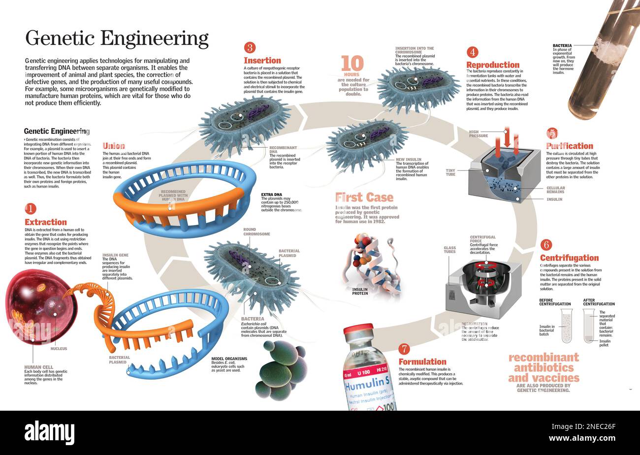 Infographic of engineering applied to the modification of