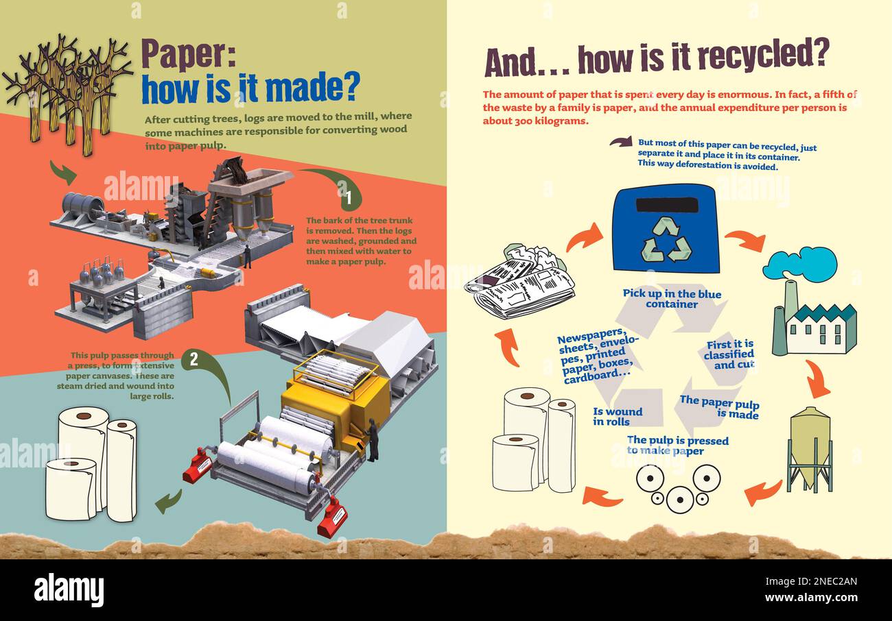 Infographic about how paper is manufactured and recycled. [Adobe