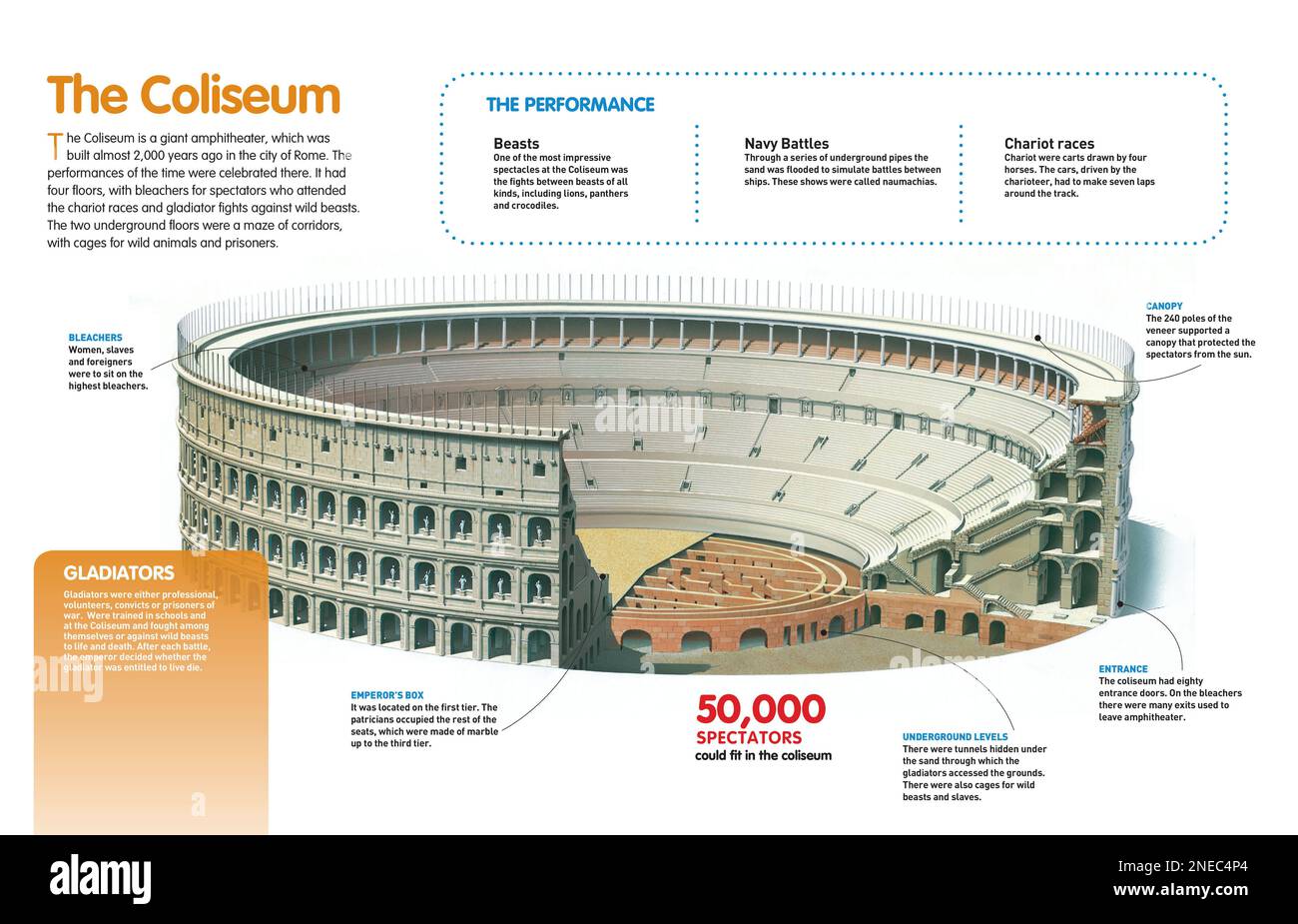 Infographic about the Roman Coliseum, destined for shows like naumachia, chariot races, and fights between gladiators and wild animals. [QuarkXPress (.qxp); Adobe InDesign (.indd); 4960x3188]. Stock Photo
