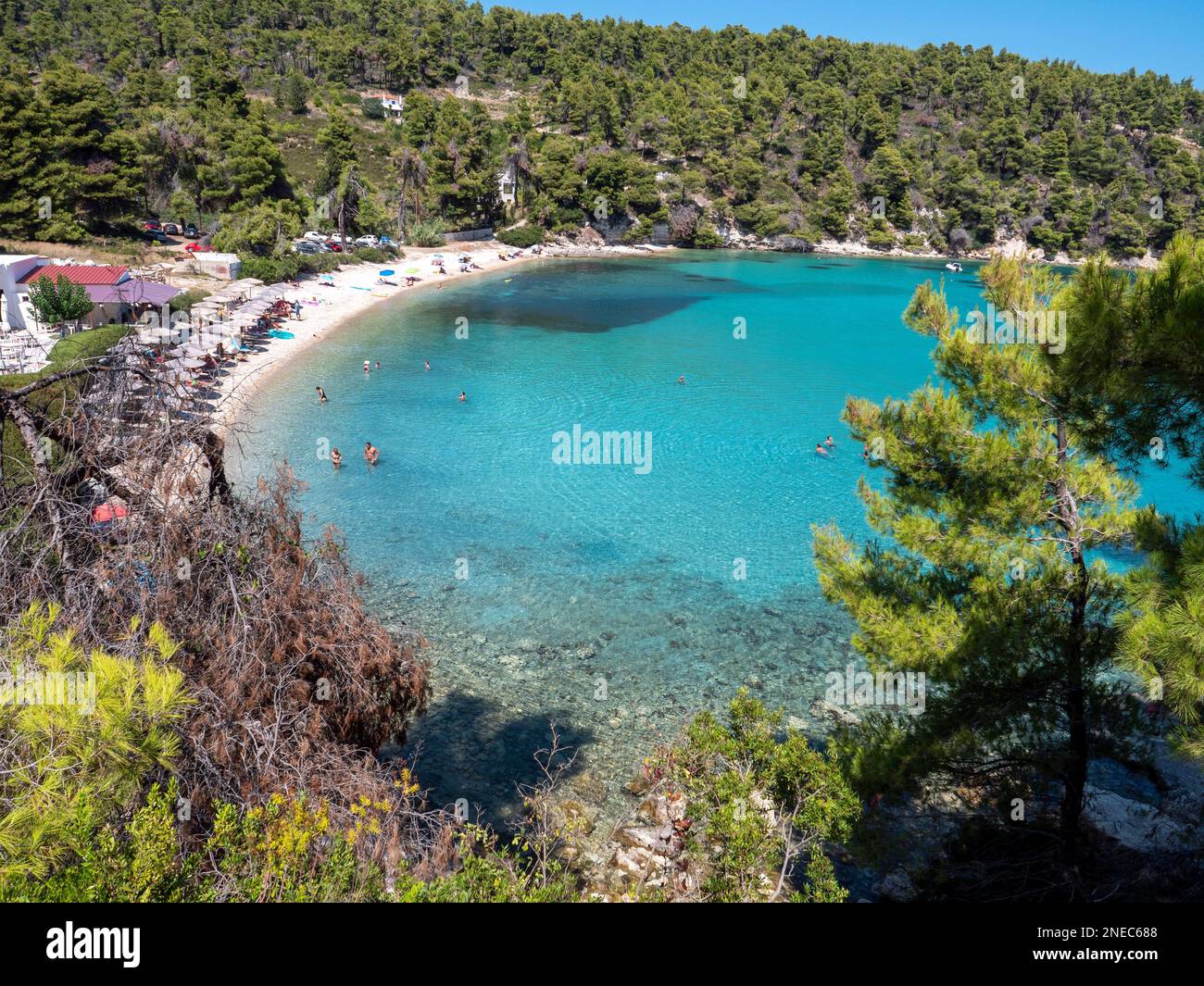 An aerial view of sea surrounded by dense trees Stock Photo - Alamy