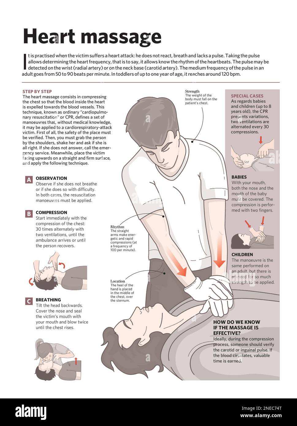 Infographic about cardiopulmonary resuscitation, a heart resuscitation
