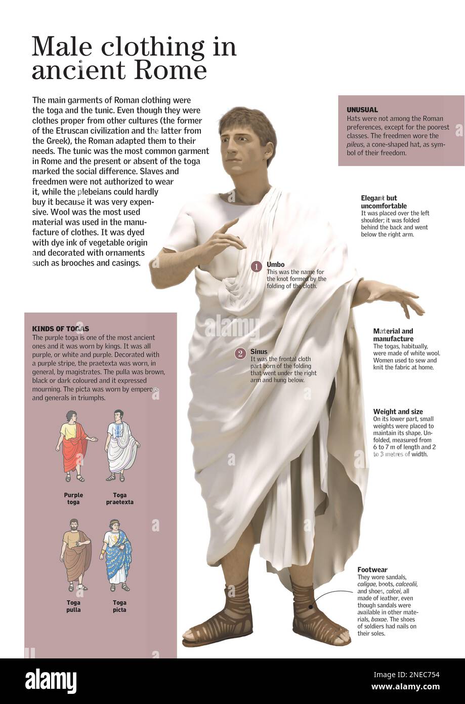 Infographic about the male clothing in ancient Rome. [Adobe InDesign (.indd); 2480x3507]. Stock Photo