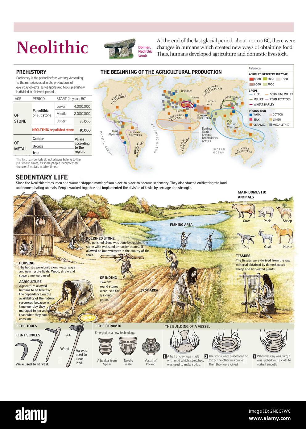 Infographics of the changes that occurred in the Neolithic, the beginning of agriculture, the sedentary lifestyle and ceramic. [Adobe Illustrator (.ai); 2480x3248]. Stock Photo