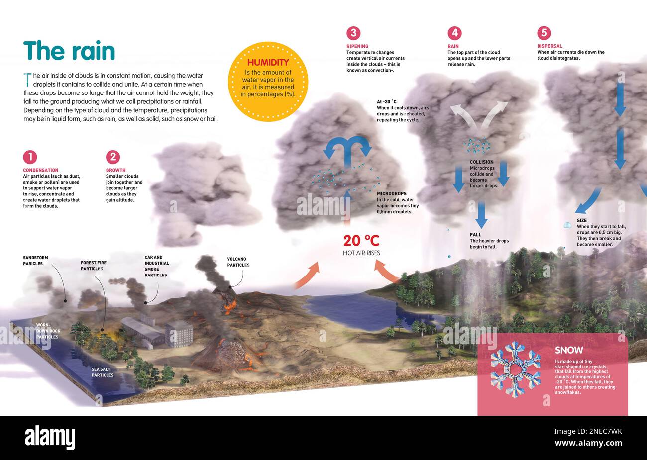 Infographic about the process of formation of rain and hail, and how their precipitation is produced. [QuarkXPress (.qxp); Adobe InDesign (.indd); 4960x3188]. Stock Photo