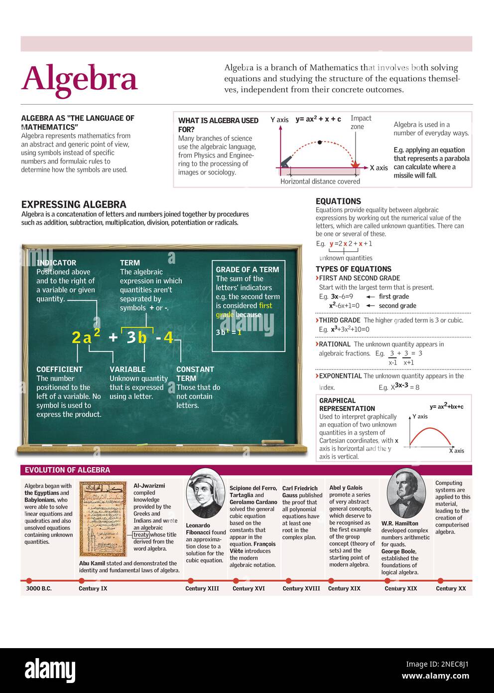 Infographic covering the fundamentals of algebra and algebraic