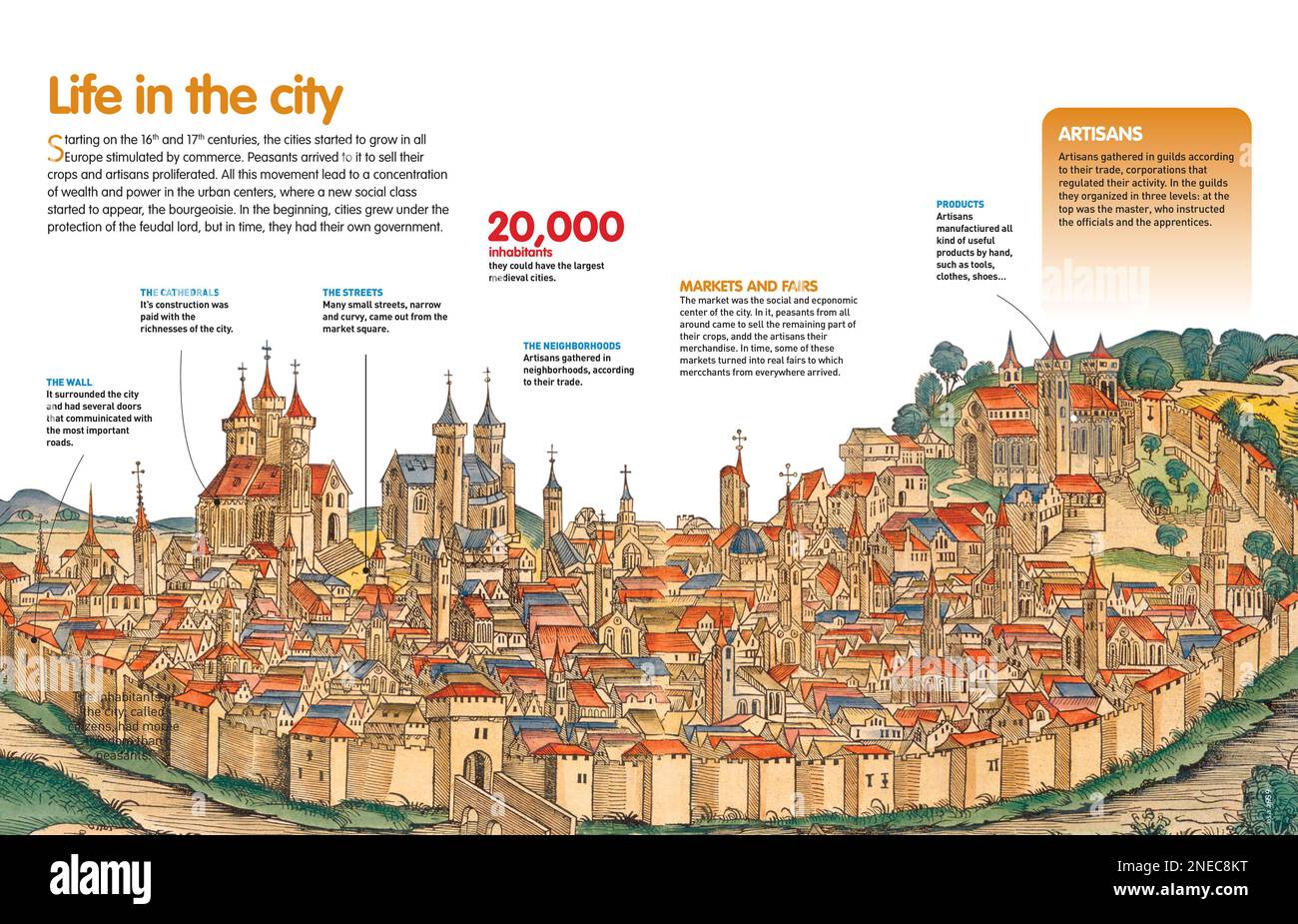 Infographic that describes the structure of medieval cities and the