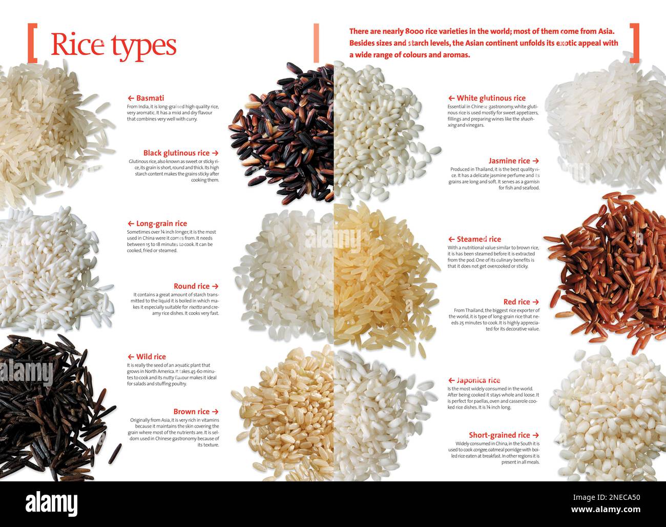 Infographics about the different varieties of rice used in Chinese