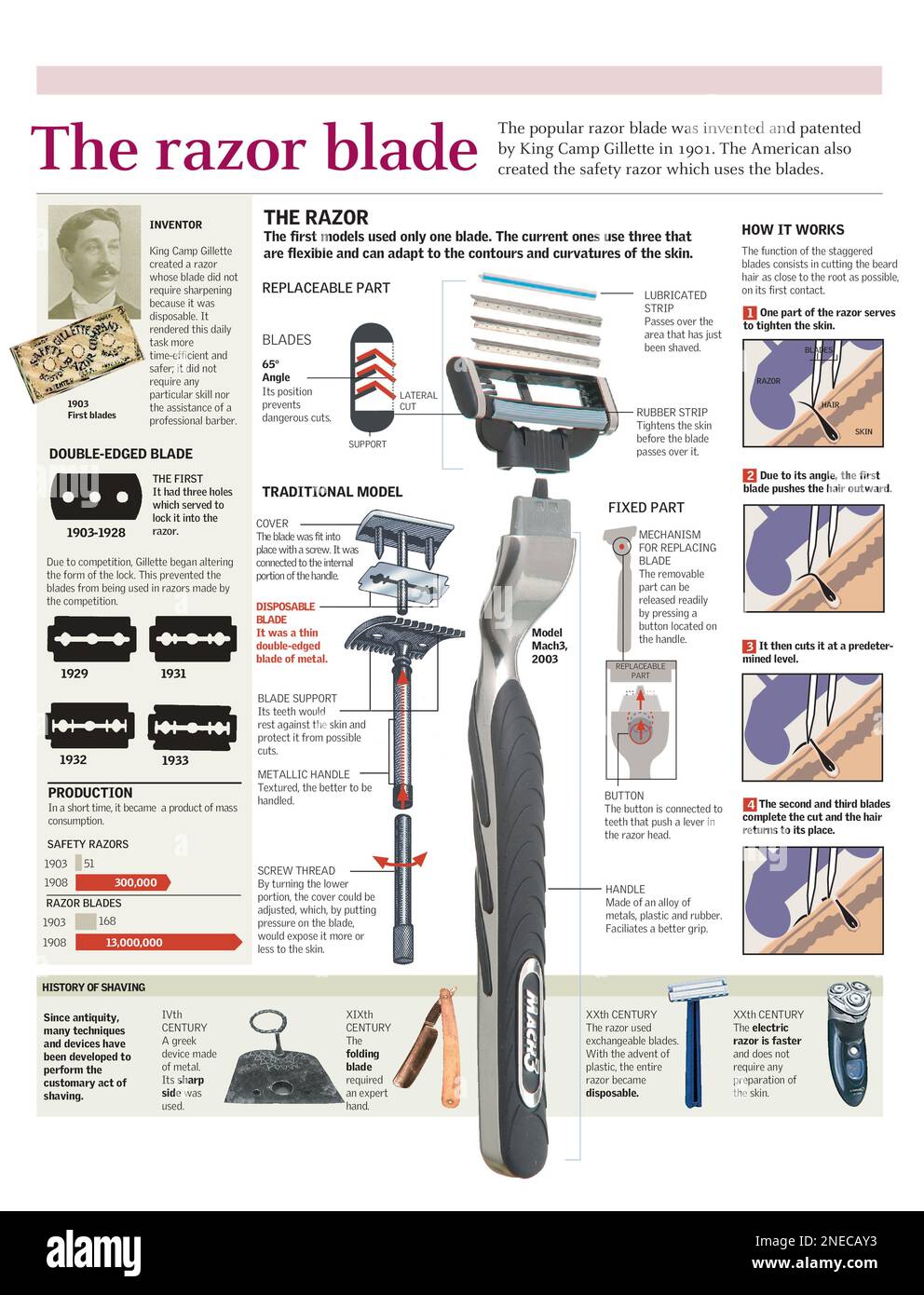 Infographics of the parts of a razor, origin and evolution. [Adobe Illustrator (.ai); 2480x3248