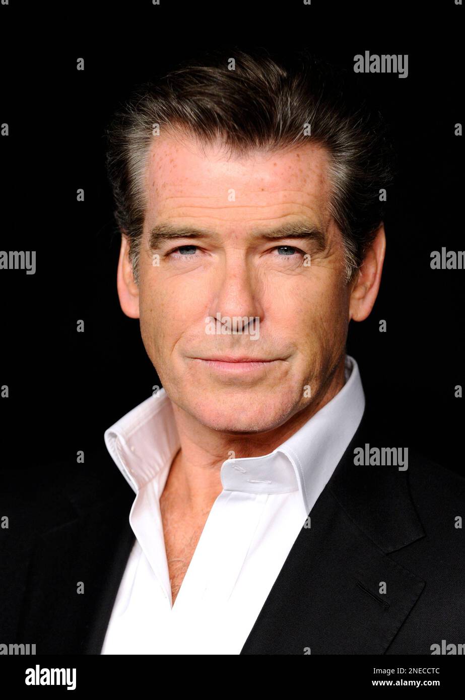 Actor Pierce Brosnan attends the premiere of "Percy Jackson and The