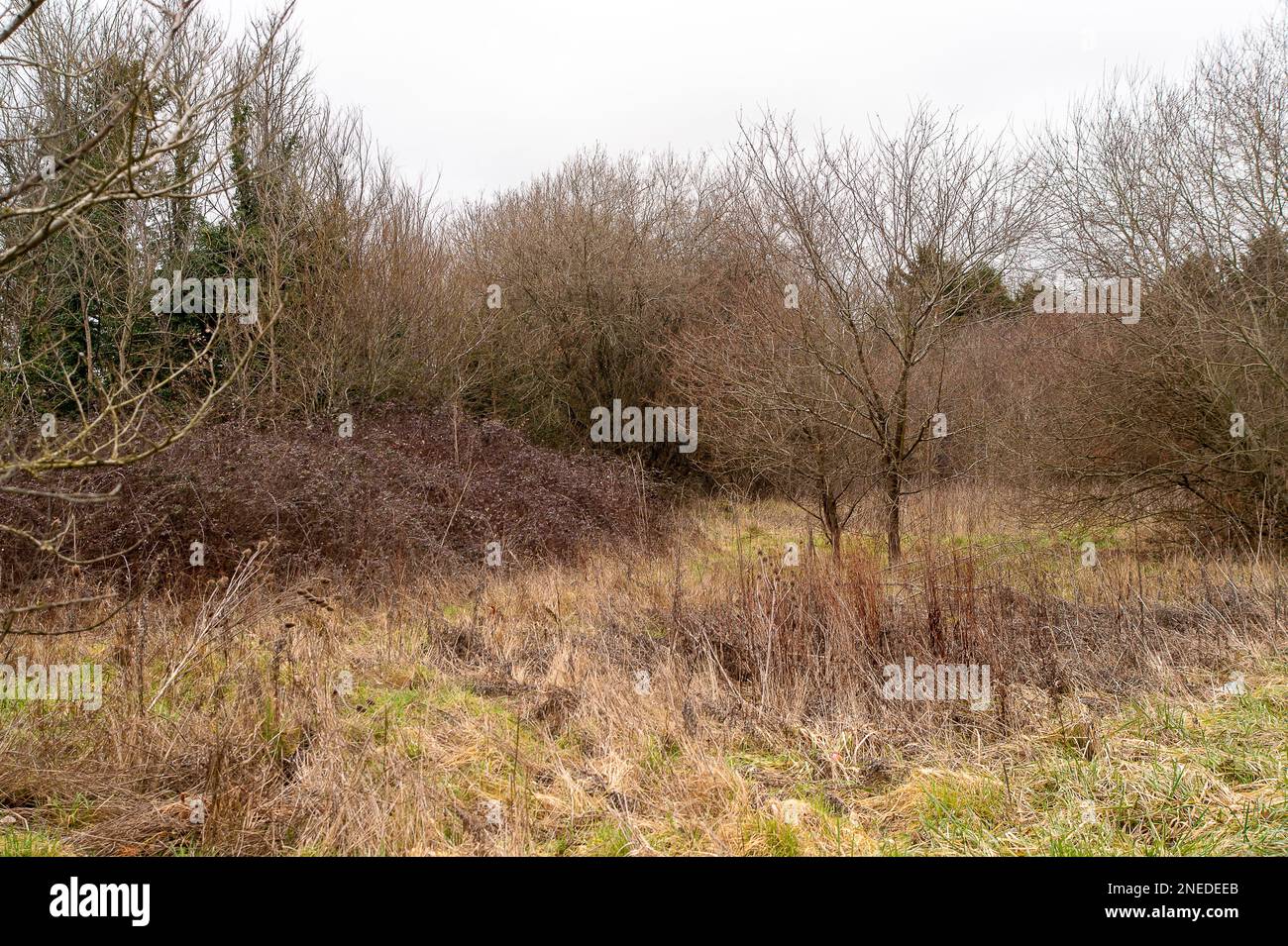Windsor, Berkshire, UK. 16th February, 2023. A large area of green belt