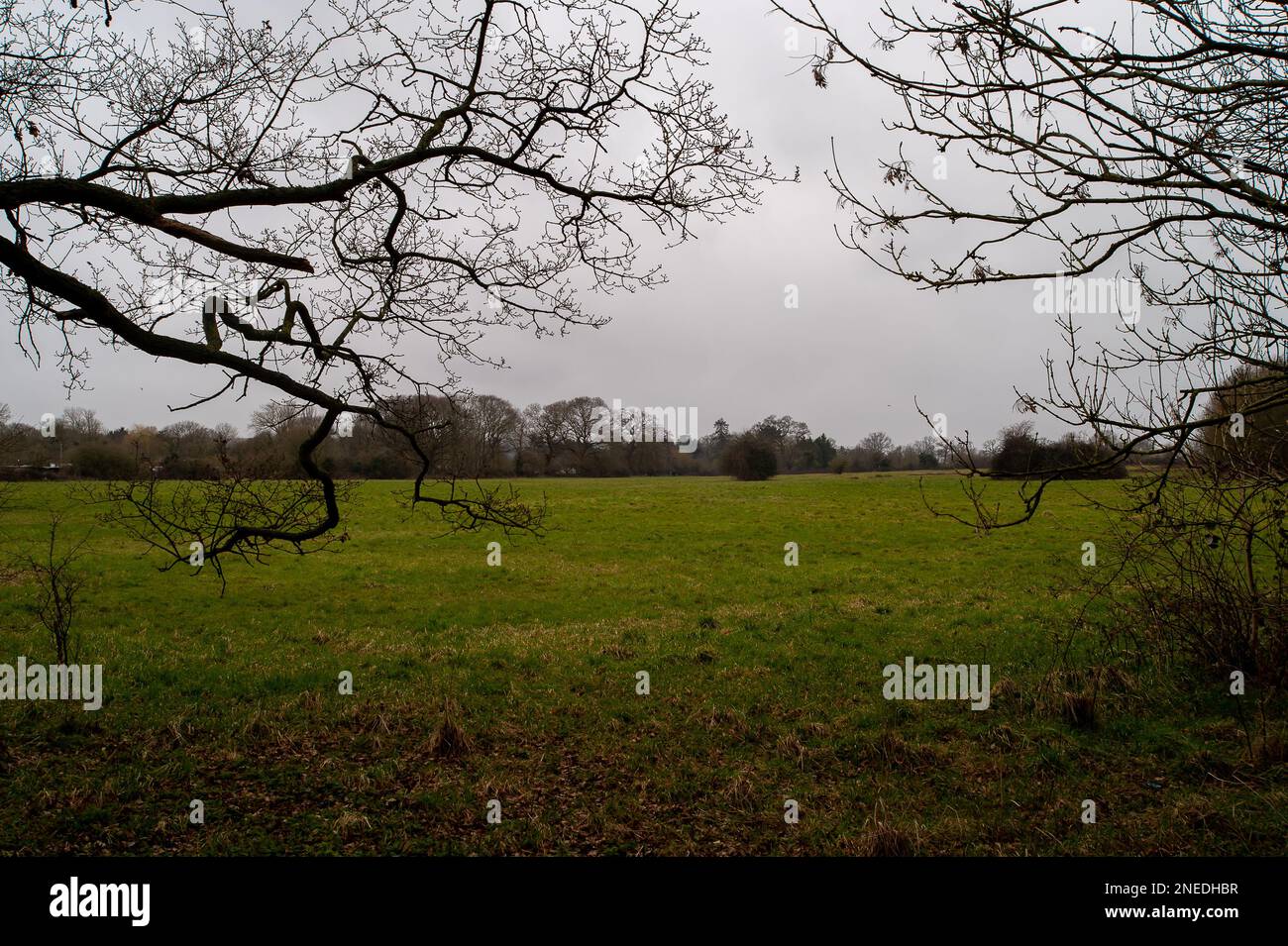 Windsor, Berkshire, UK. 16th February, 2023. A large area of green belt