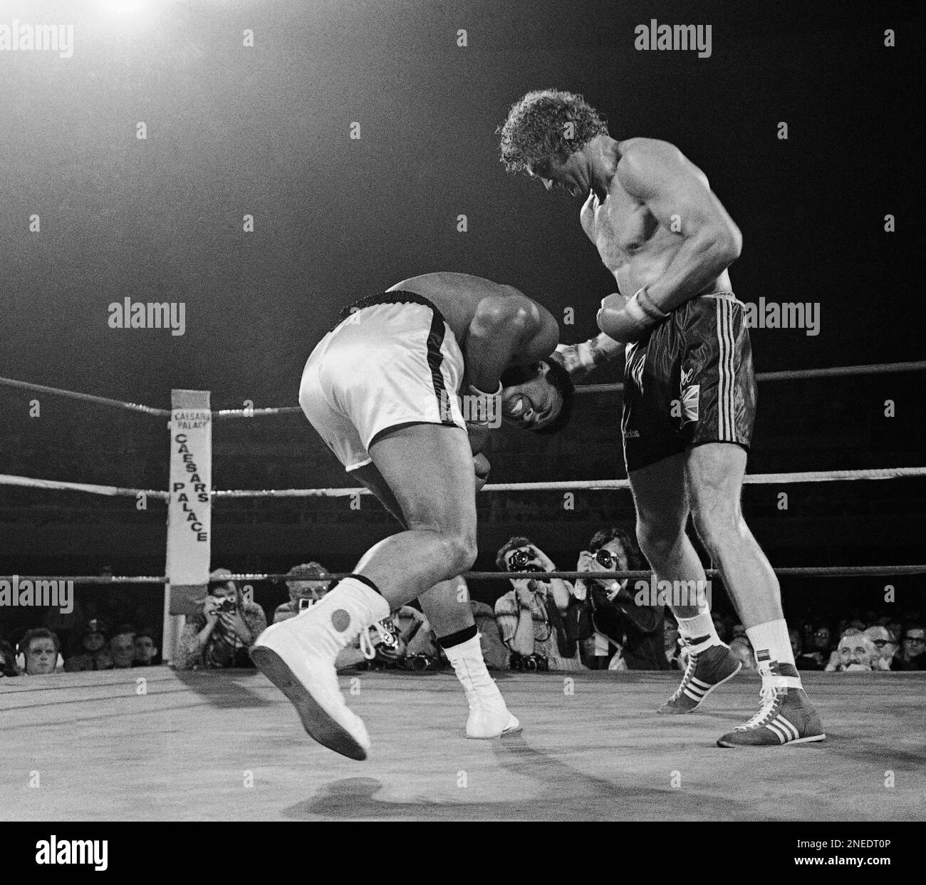 Boxing ring aggression challenge competition action boxing glove