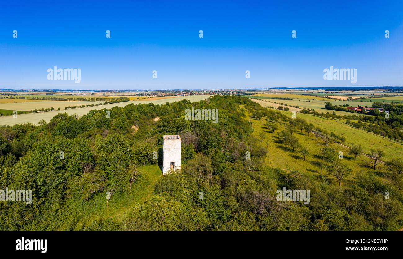 Seweckenwarte Wartturm Feldwarte Quedlinburg Gersdorf Castle Stock