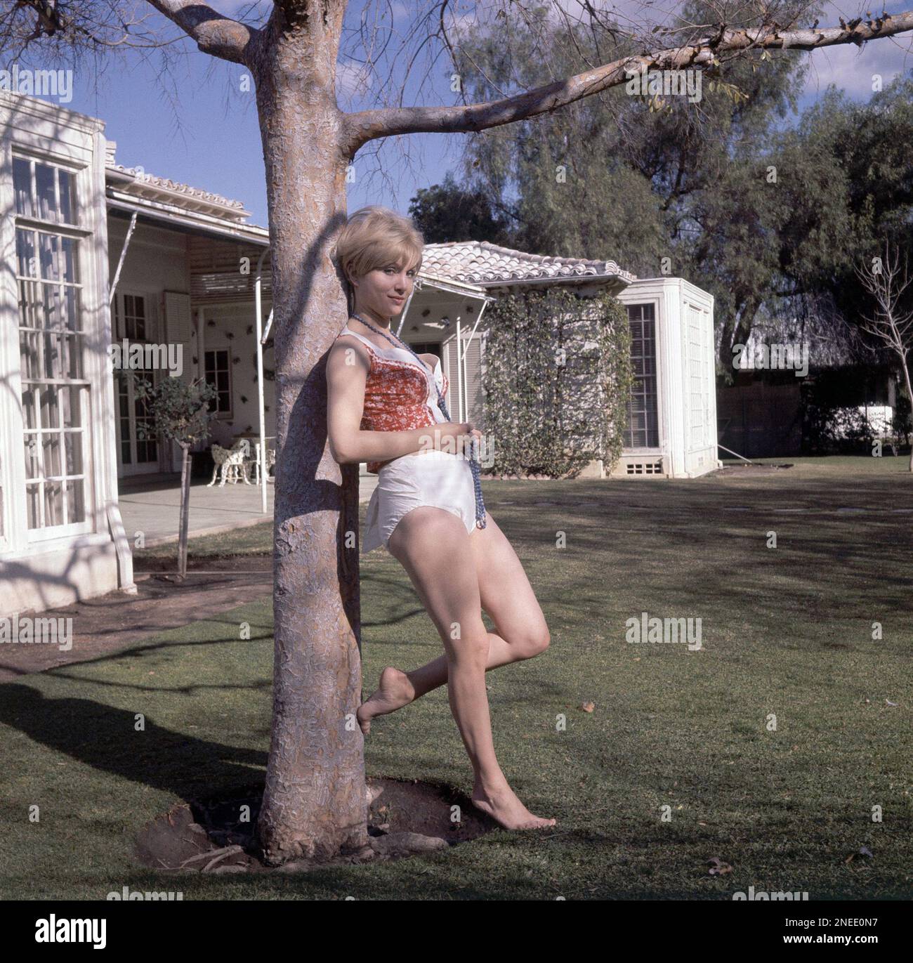 Actress Susan Oliver poses outside her home in Beverly Hills, Calif., Feb.  1964. (AP Photo/Harold Filan Stock Photo - Alamy, image size:1300x1371