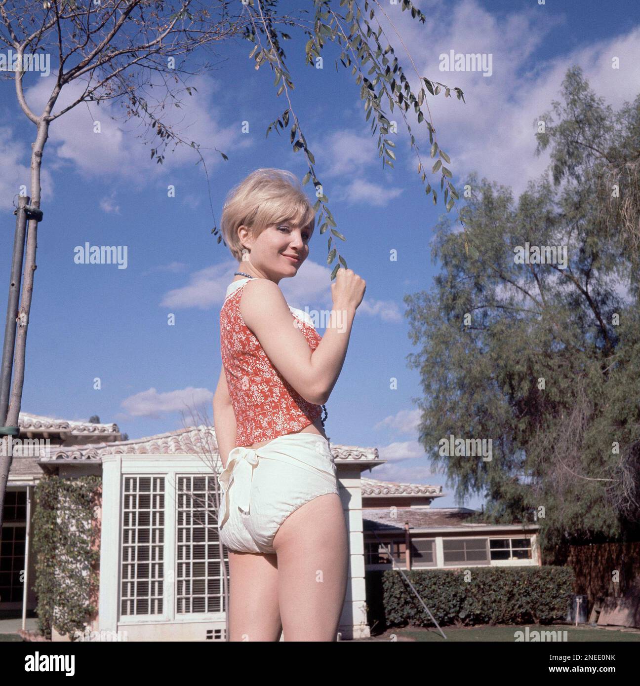 Actress Susan Oliver poses outside her home in Beverly Hills, Calif., Feb.  1964. (AP Photo/Harold Filan Stock Photo - Alamy, image size:1296x1390
