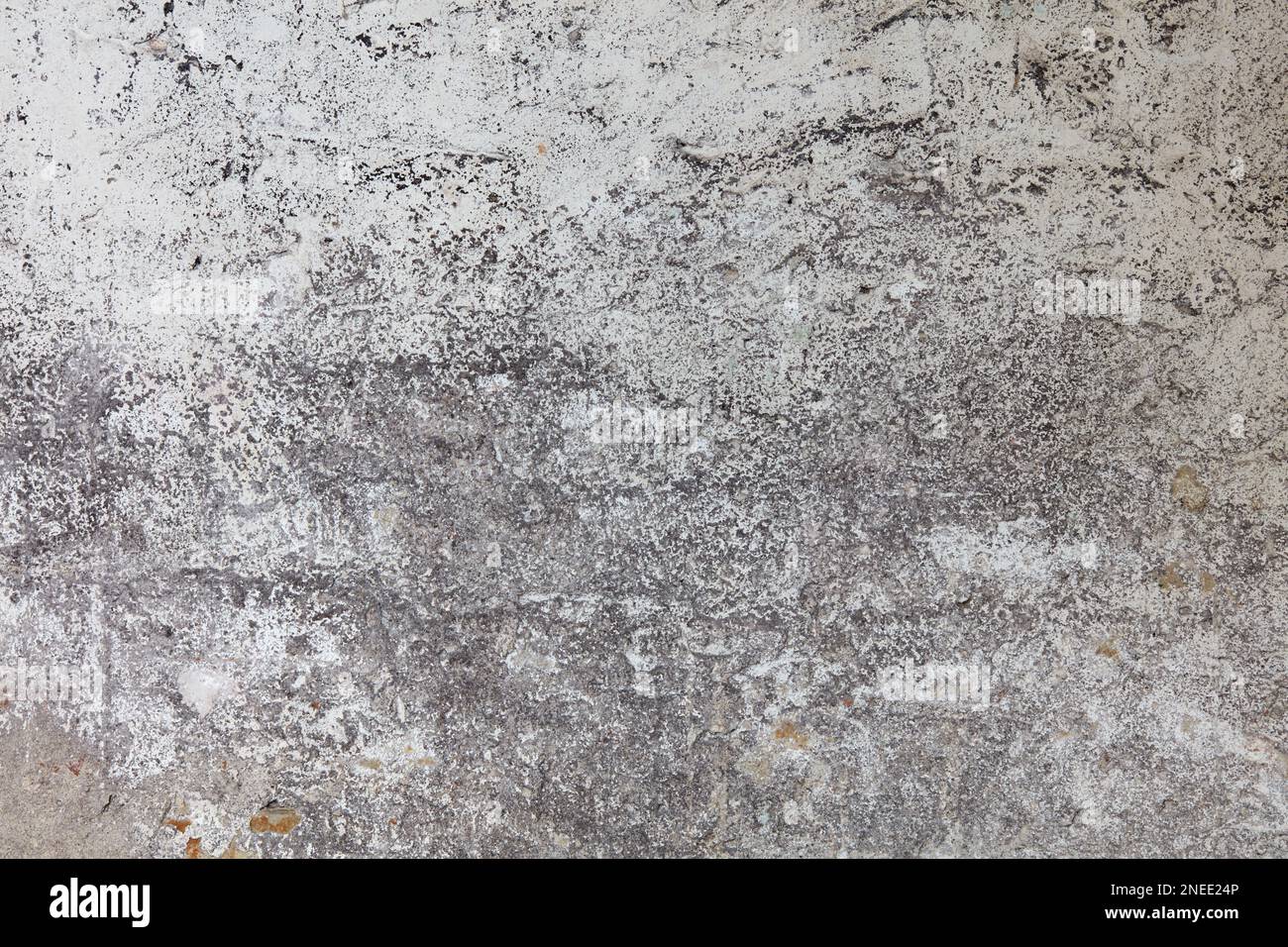 Grey and white old wall texture background Stock Photo