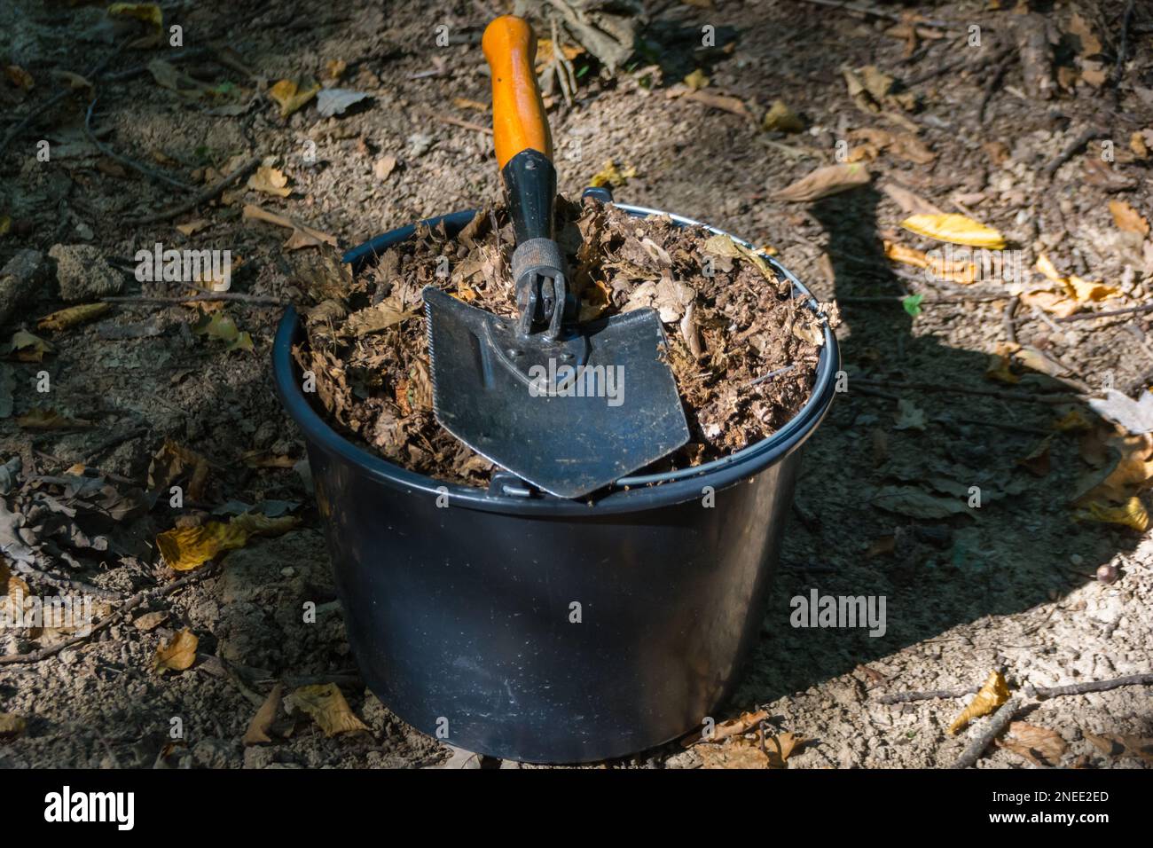 collecting dried leaves from forest to compost Stock Photo Alamy