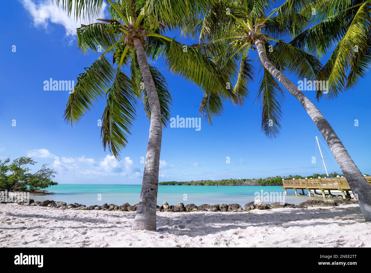 tropical beach at the florida keys Stock Photo Alamy