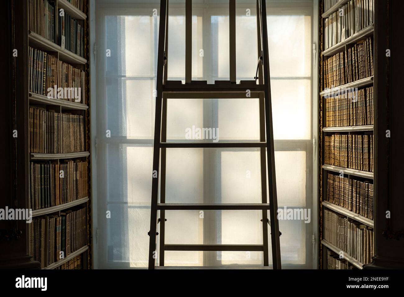 Admont abbey library . Stiftsbibliothek Admont . Stock Photo