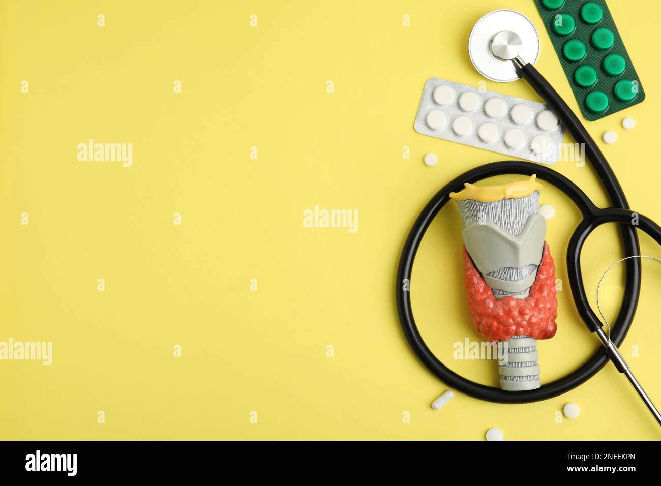 Plastic model of thyroid with tumor, pills and stethoscope on yellow background, flat lay. Space for text Stock Photo