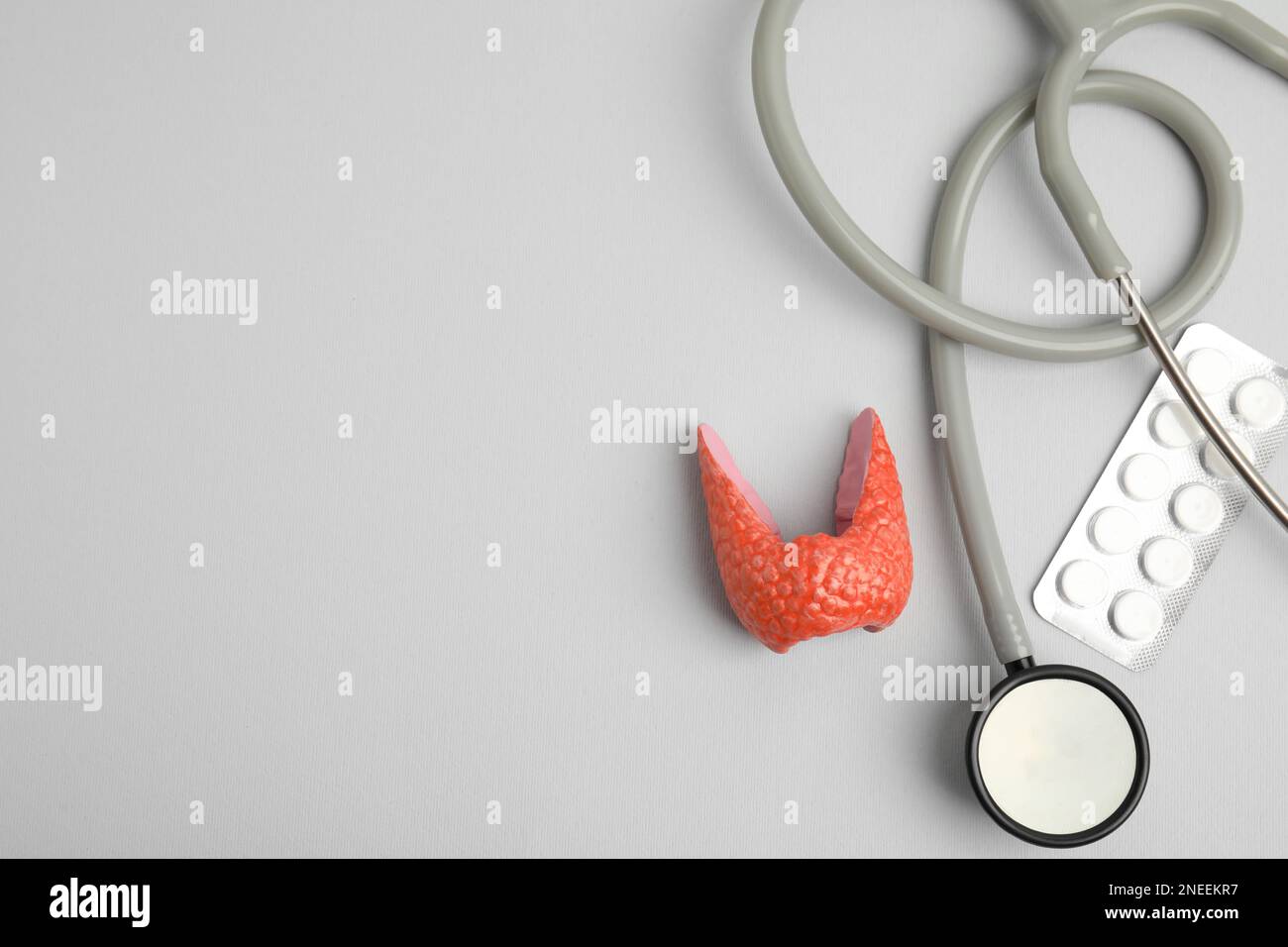 Plastic model of healthy thyroid, pills and stethoscope on grey background, flat lay. Space for text Stock Photo