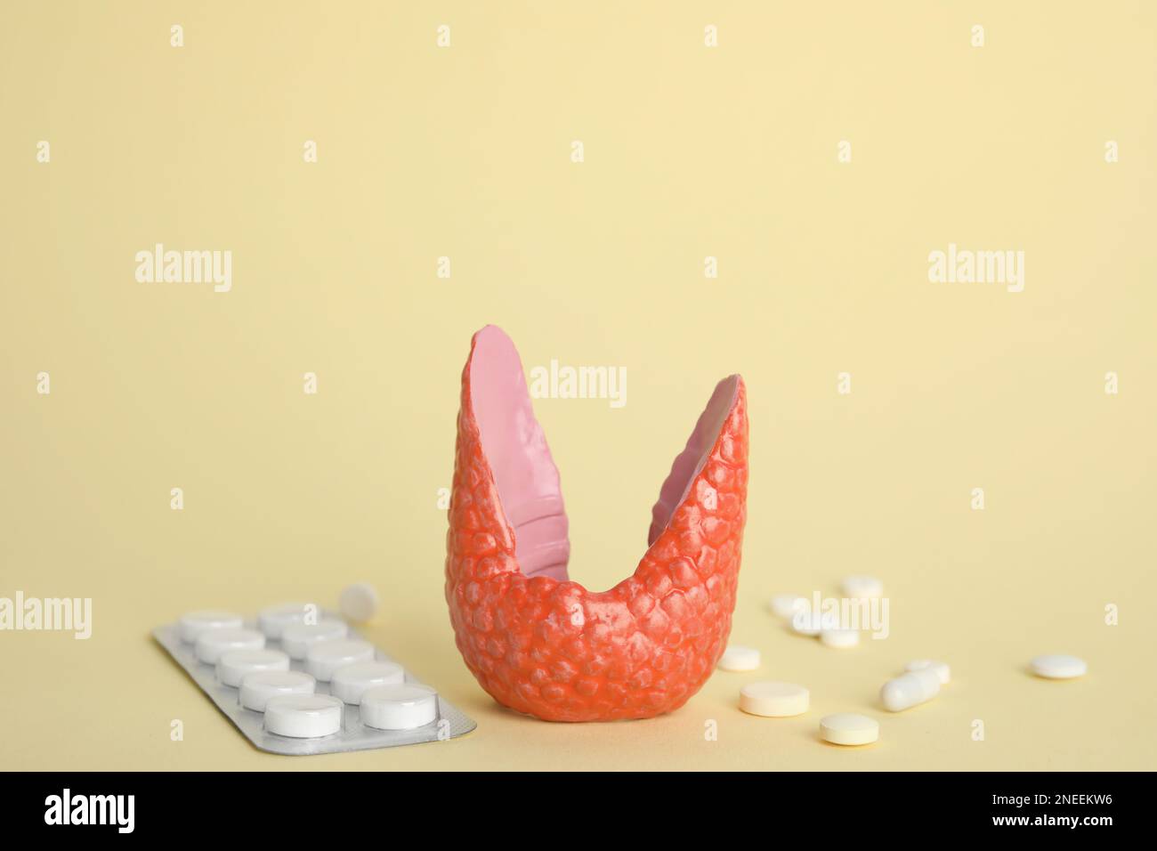 Plastic model of healthy thyroid and pills on beige background Stock Photo