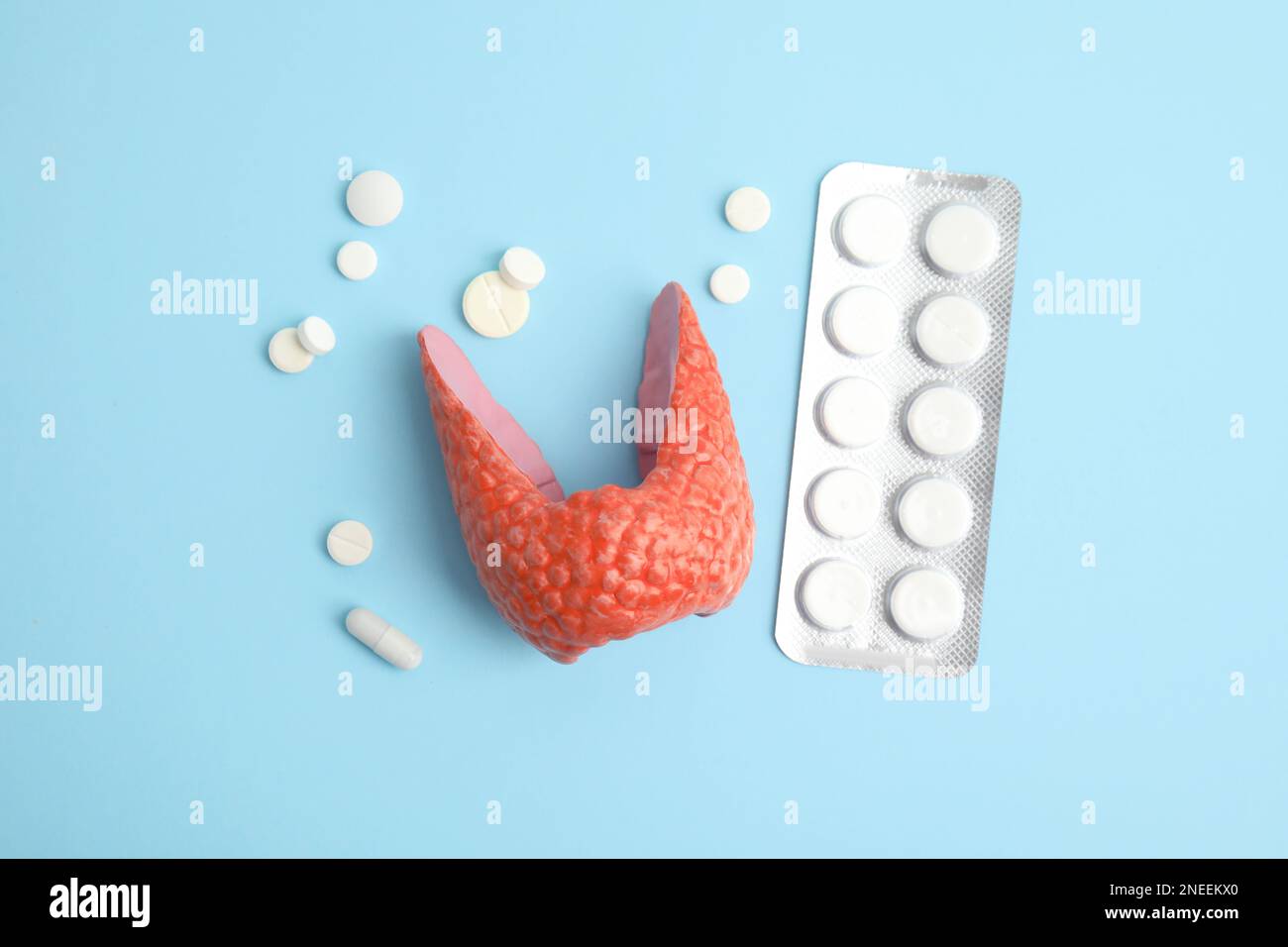 Plastic model of healthy thyroid and pills on light blue background, flat lay Stock Photo