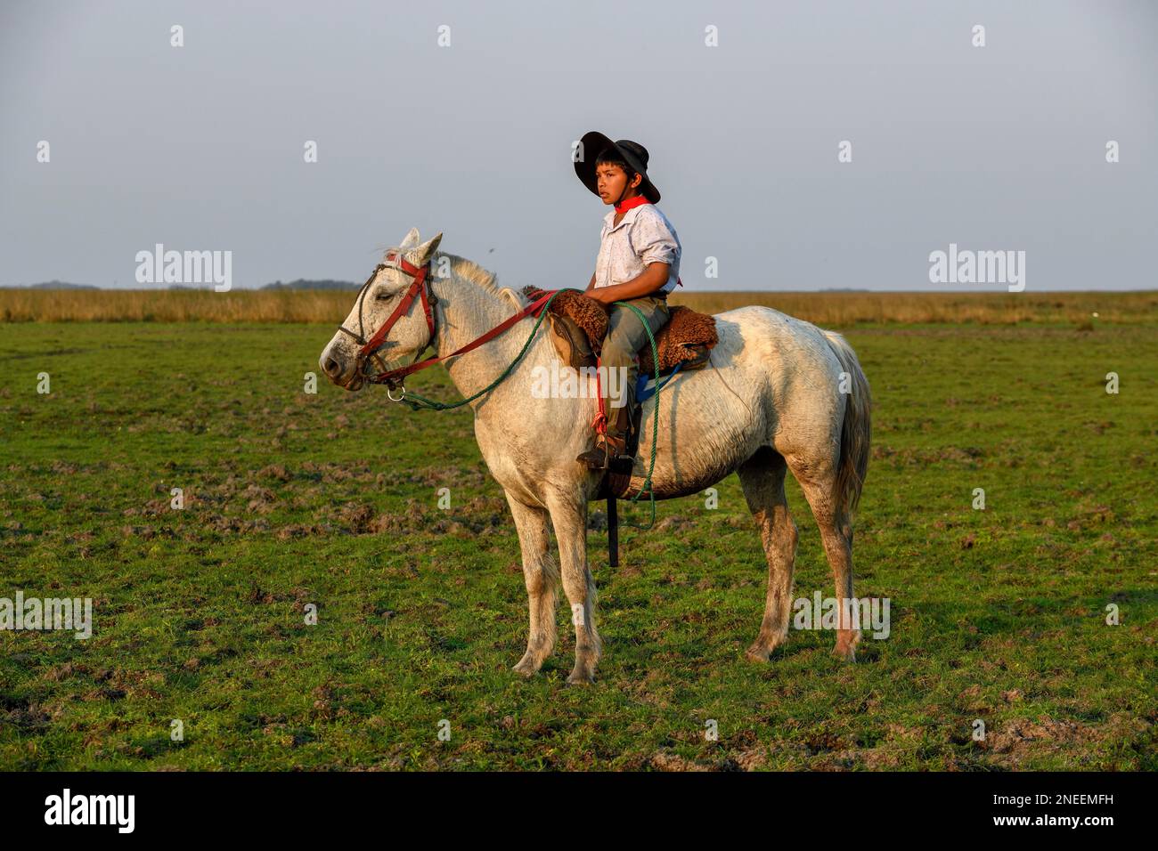 Young Gaucho on his horse at Puesto Mingo, Esteros del Ibera, near Concepcion del Yaguarete Cora, Corrientes Province, Argentina Stock Photo