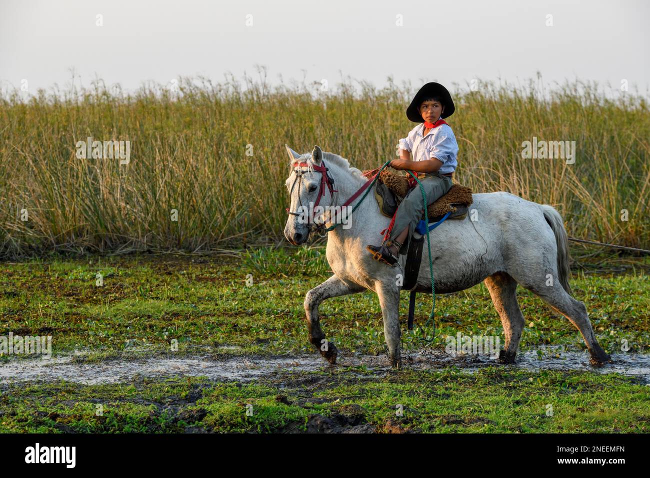 Young Gaucho on his horse, Puesto Mingo, Esteros del Ibera, at Concepcion del Yaguarete Cora, Corrientes Province, Argentina Stock Photo