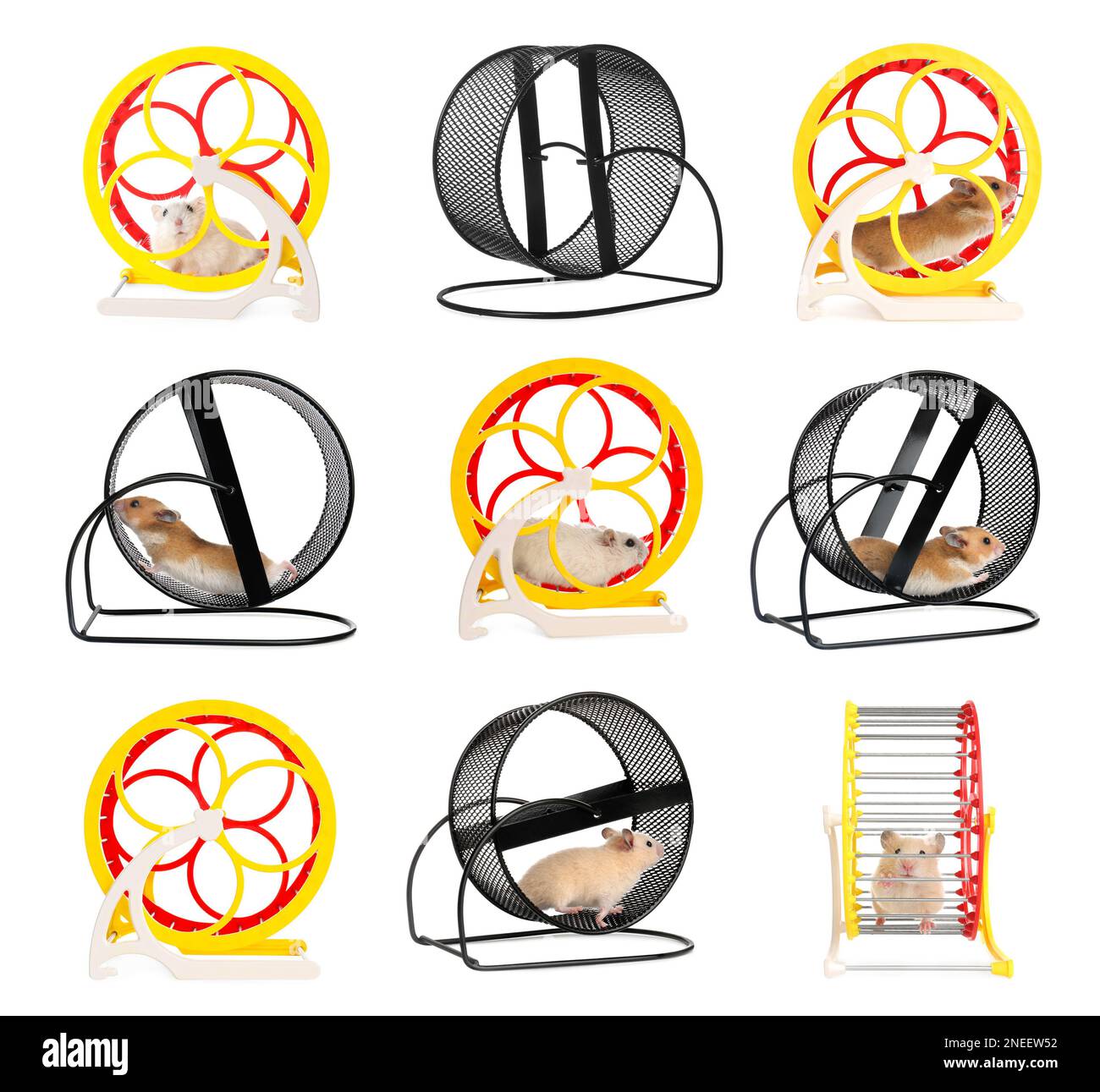 Cute funny hamsters running in wheels on white background, collage