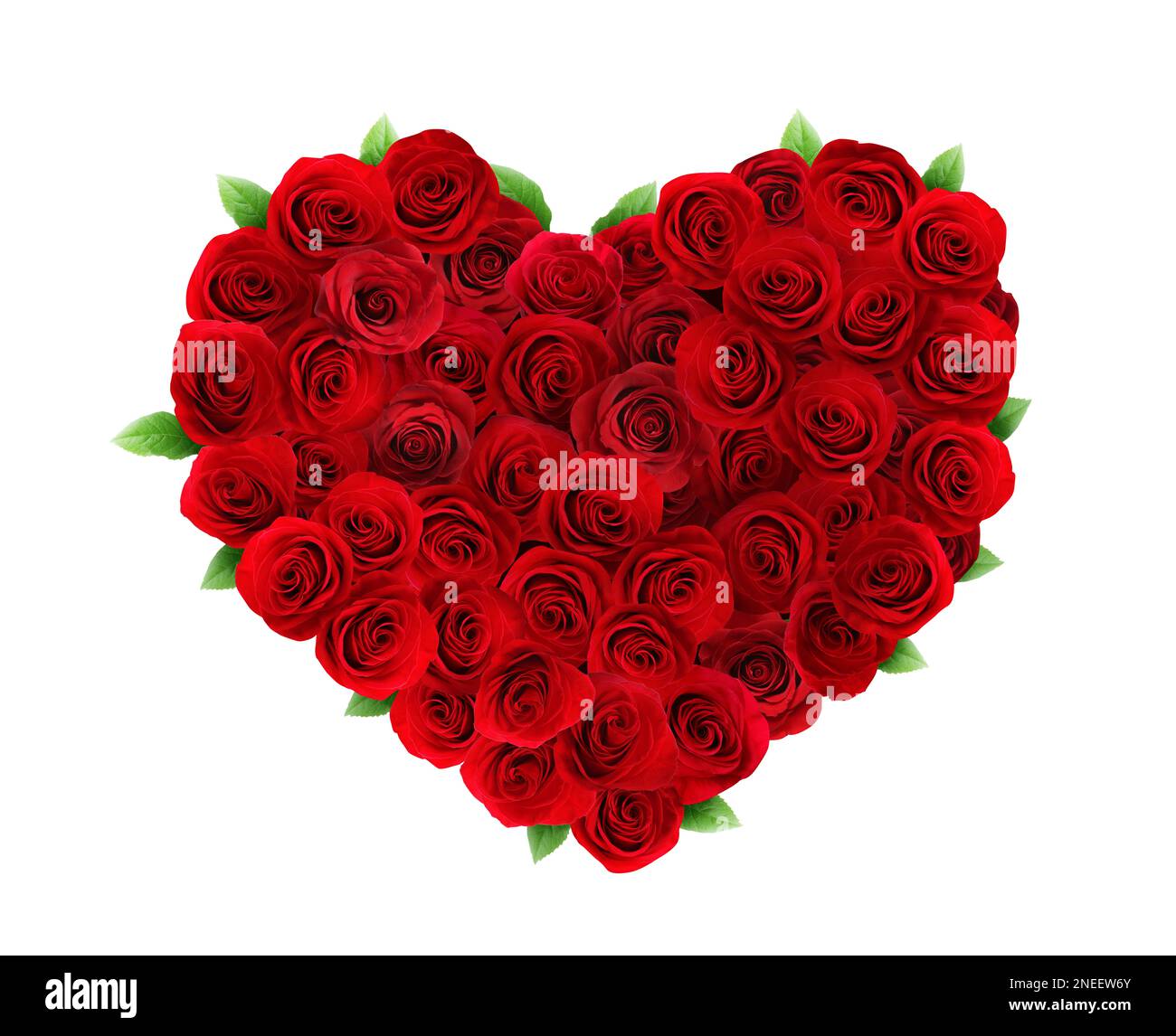 Heart made of beautiful red roses on white background Stock Photo - Alamy
