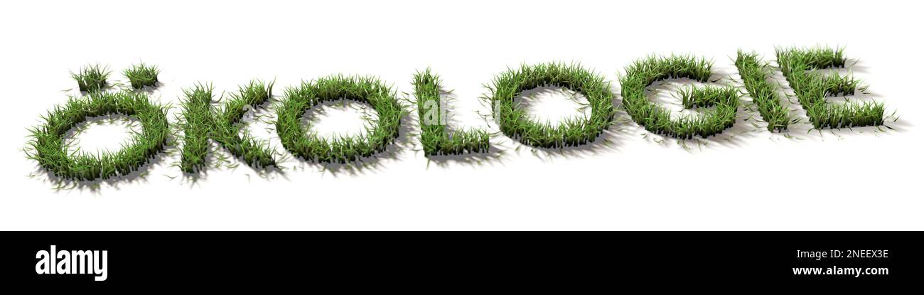 Ecology, grass, nature, ecological, CO2, sustainability, lawn, green, word, sustainable, writing, text, lifestyle, pollution, carbon dioxide Stock Photo
