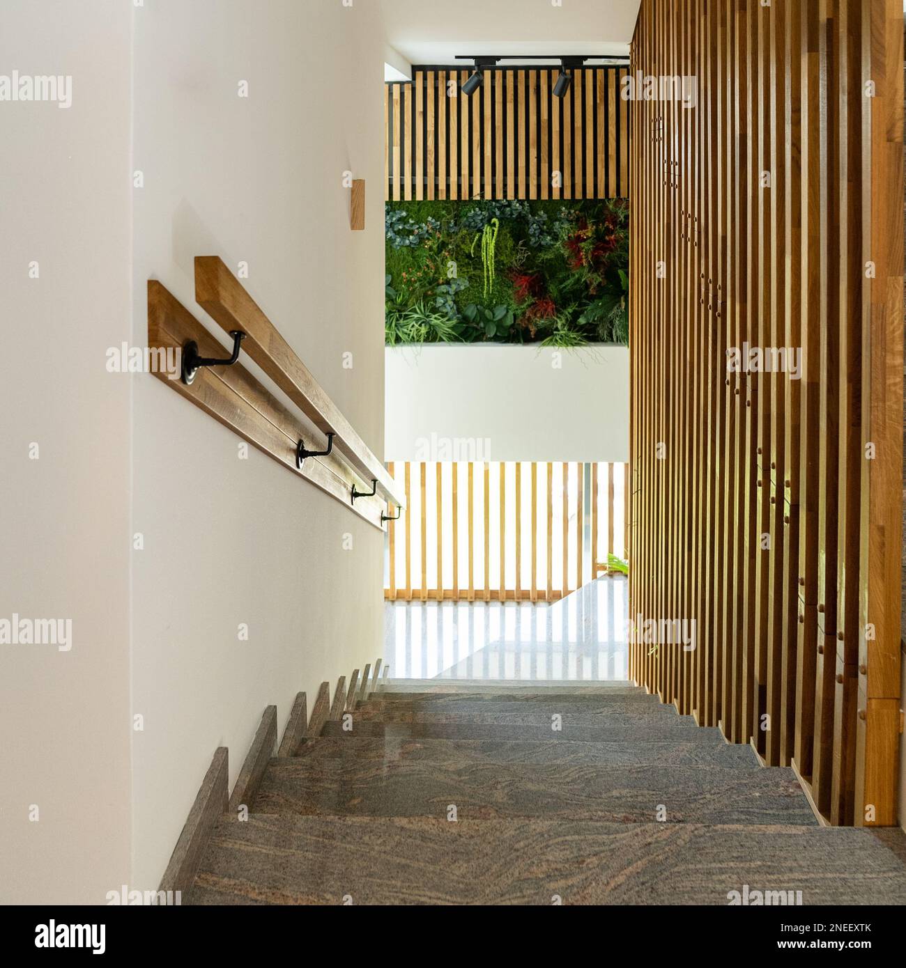 The hotel interior of stairs with wooden handrail and decorative wooden