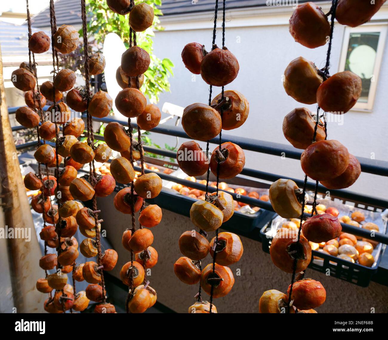 windows-shibugaki-hi-res-stock-photography-and-images-alamy