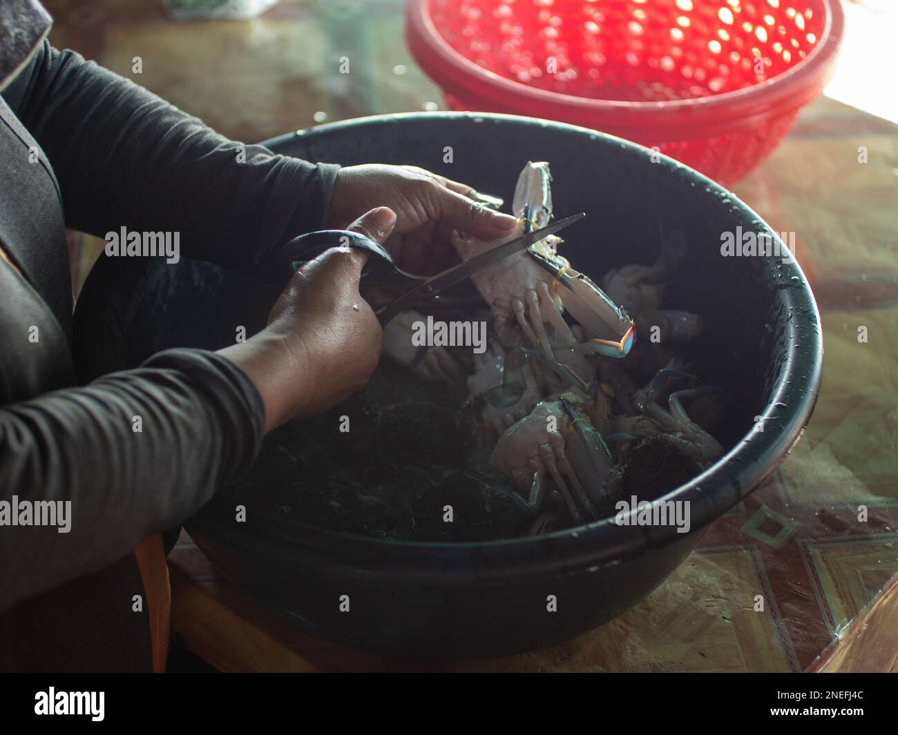 A woman prepares blue crab for the wok in Kep Market, Cambodia. Stock Photo