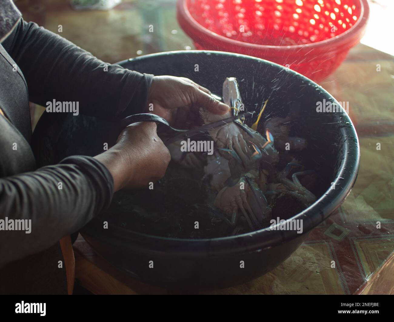 A woman prepares blue crab for the wok in Kep Market, Cambodia. Stock Photo