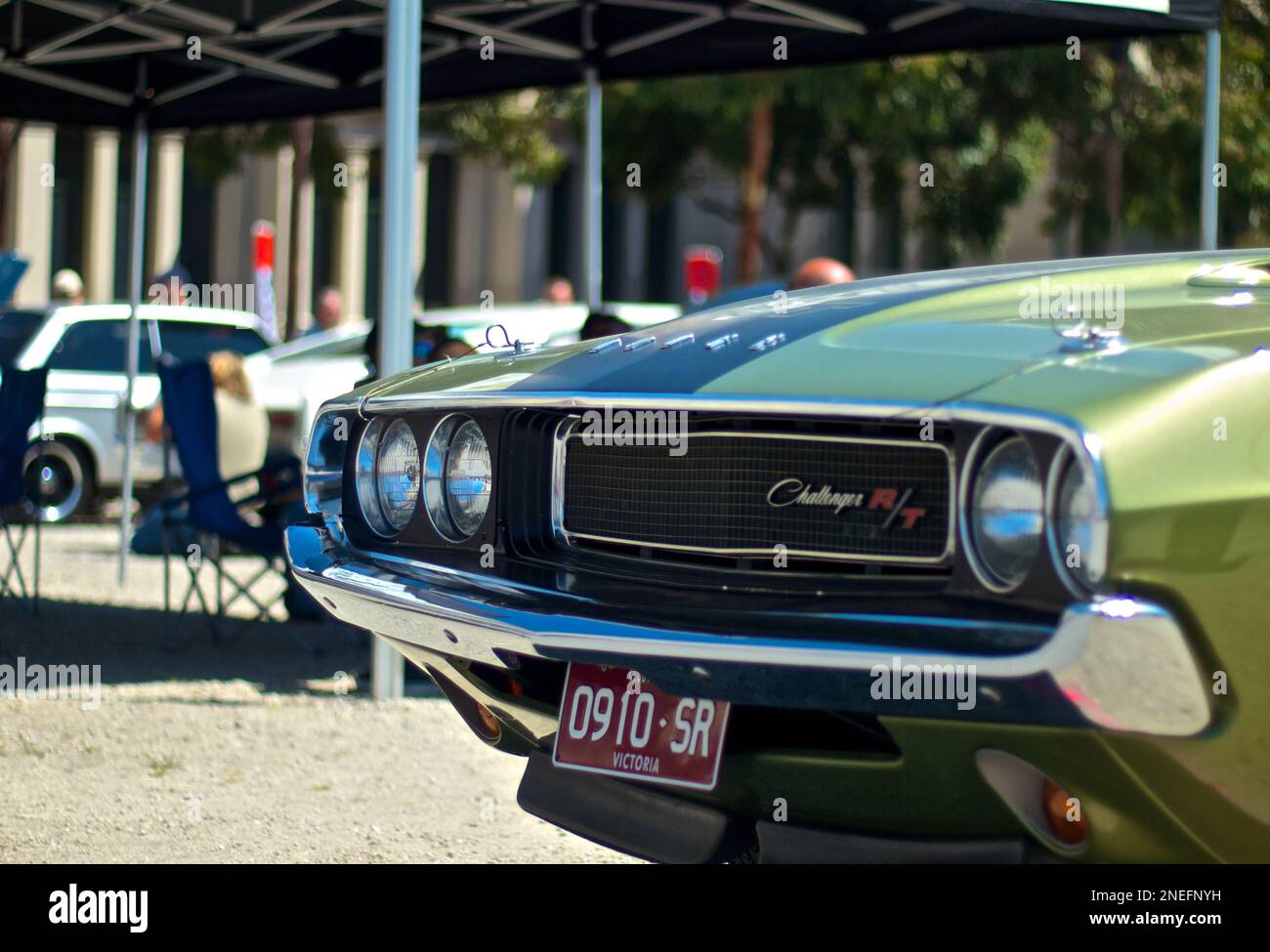 Green on the Scene: A Powerful Dodge Challenger Muscle Car Stock Photo