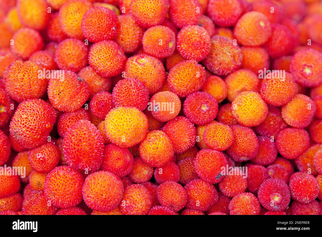 Close-up on a stack of Arbutus berries for sale on a market stall Stock ...