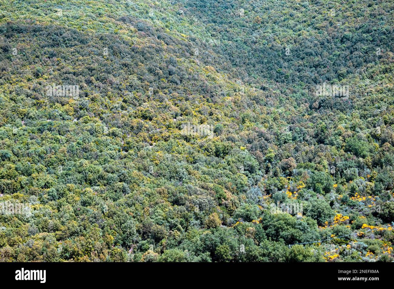 Green lush summer hills hi-res stock photography and images - Alamy