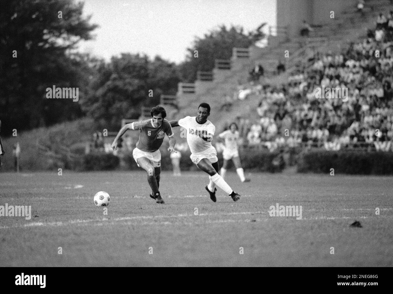 The Atmosphere at Downing Stadium The Atmosphere at Downing Stadium