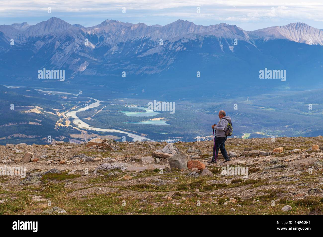 Senior man with walking sticks hiking down the Whistlers Mountain peak hike in Jasper national park, Canada. Stock Photo