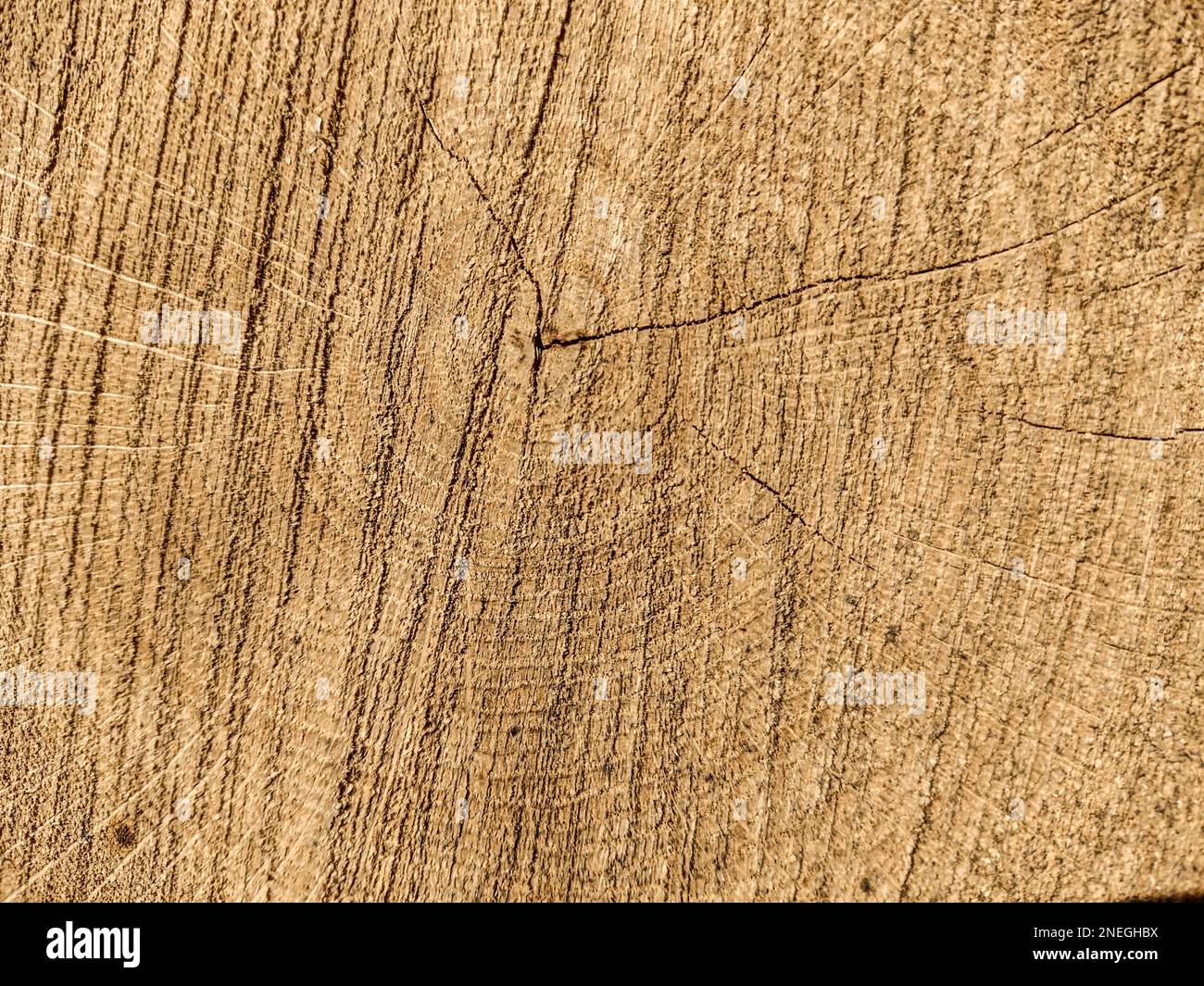 natural wooden background. texture, closeup Stock Photo