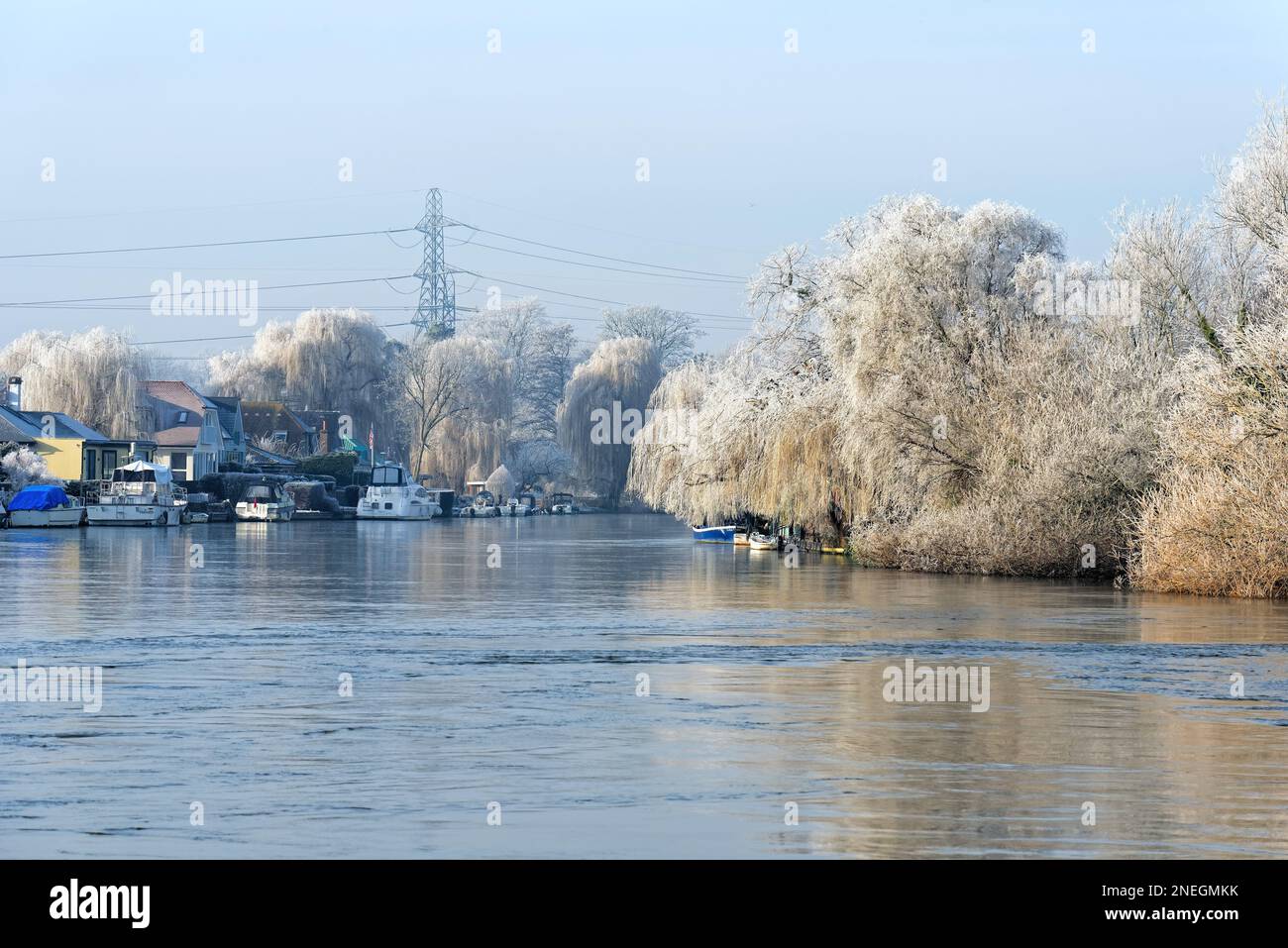 The riverside at Shepperton on a cold sunny winters day with trees and vegetation covered in hoar frost, Surrey England UK Stock Photo