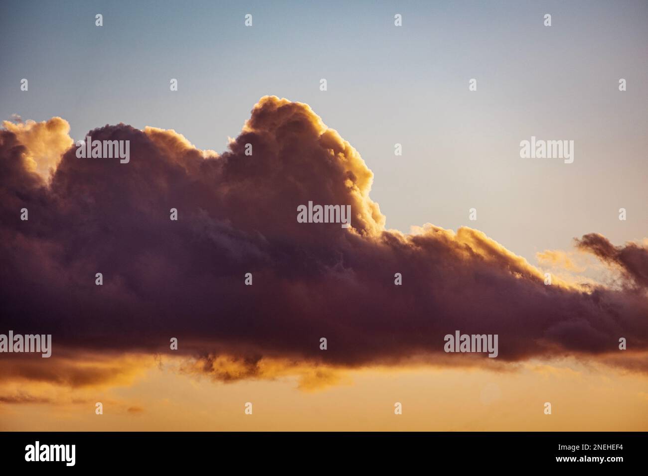 Looking up at a cloud with rim lighting on an early morning sunrise Stock Photo