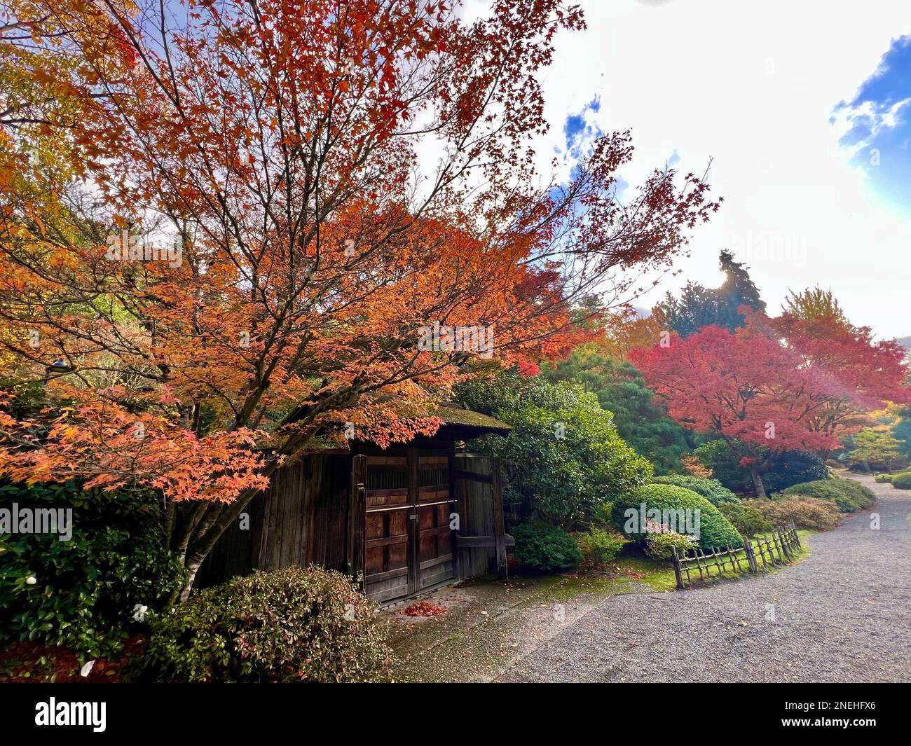 Seattle Japanese garden in the fall, 2022 Stock Photo Alamy