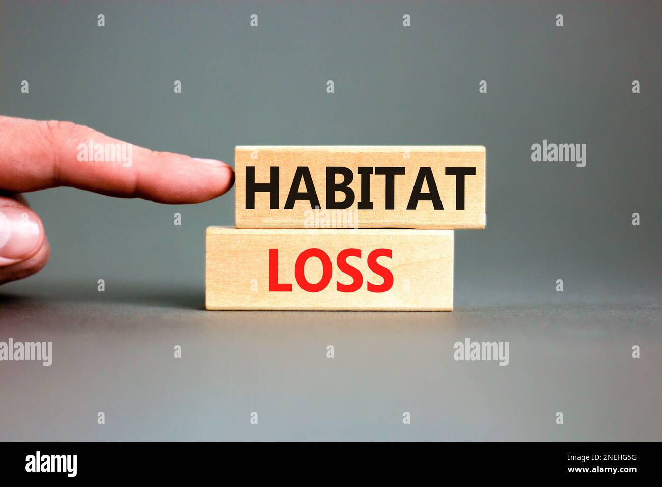 Habitat loss symbol. Concept words Habitat loss on wooden block. Beautiful grey table grey