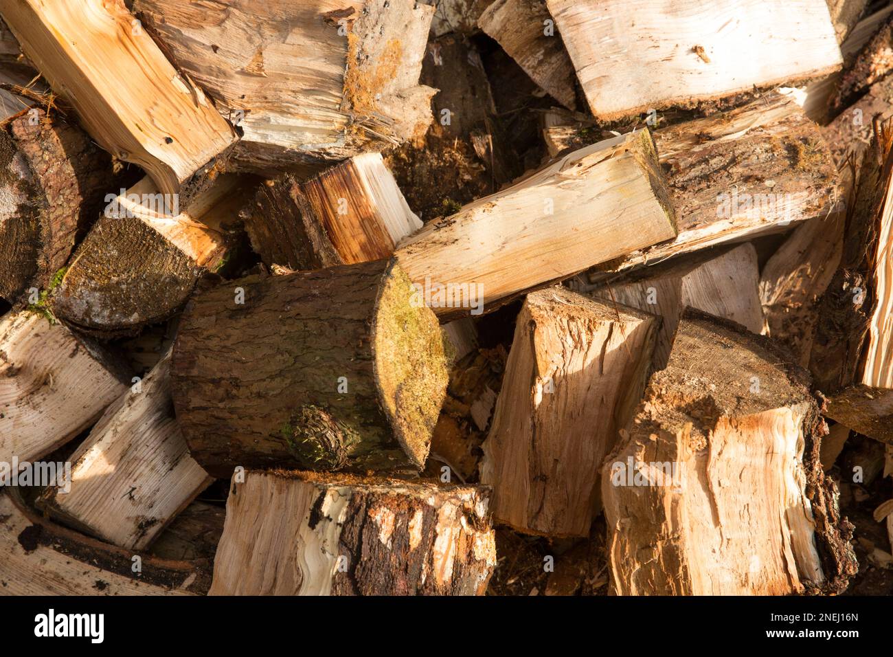Logs that have been split with an axe that will be placed in a woodstore to dry over the summer as fuel for a wood burning stove. England UK GB Stock Photo