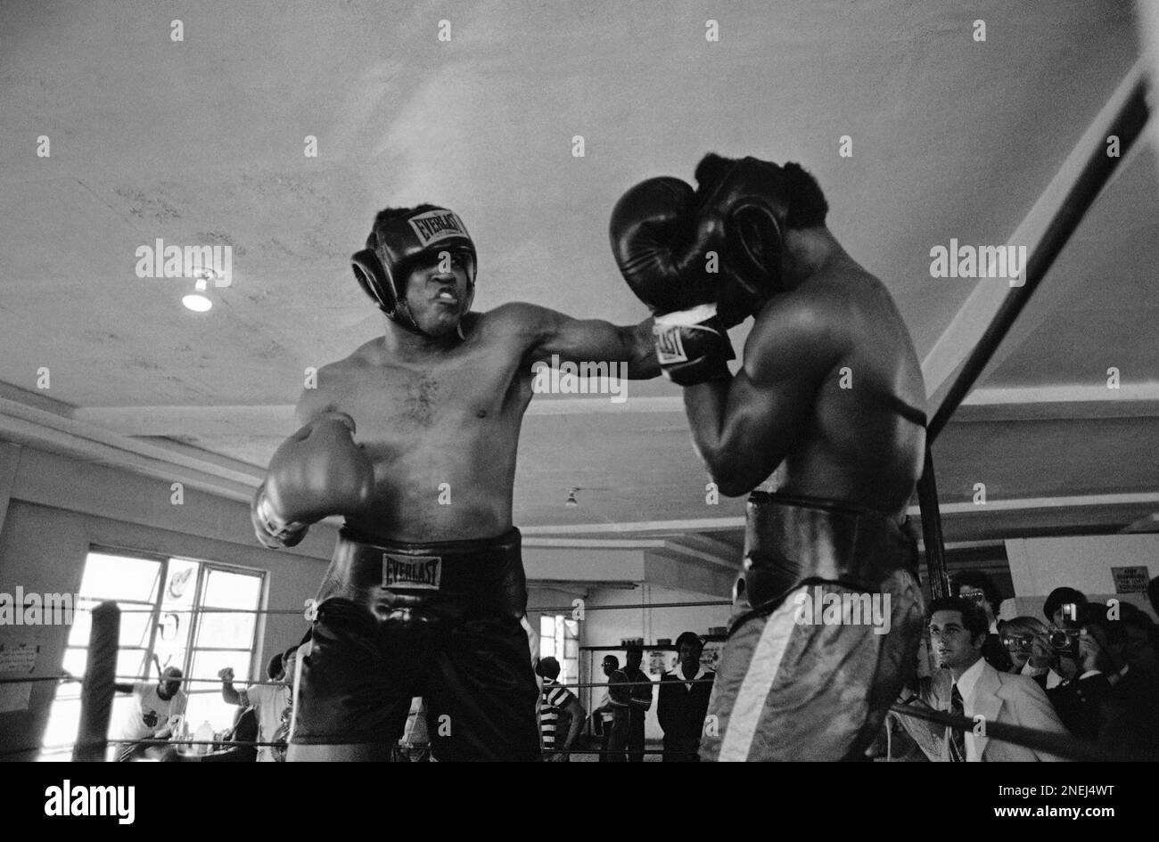 donor Over hoved og skulder Lækker World heavyweight champion Muhammad Ali connects with a left jab to his  opponent Mike ?Dynamite? Dokes of Akron, Ohio, in the Fifth Street Gym on  Miami Beach on Dec. 21, 1977. Ali