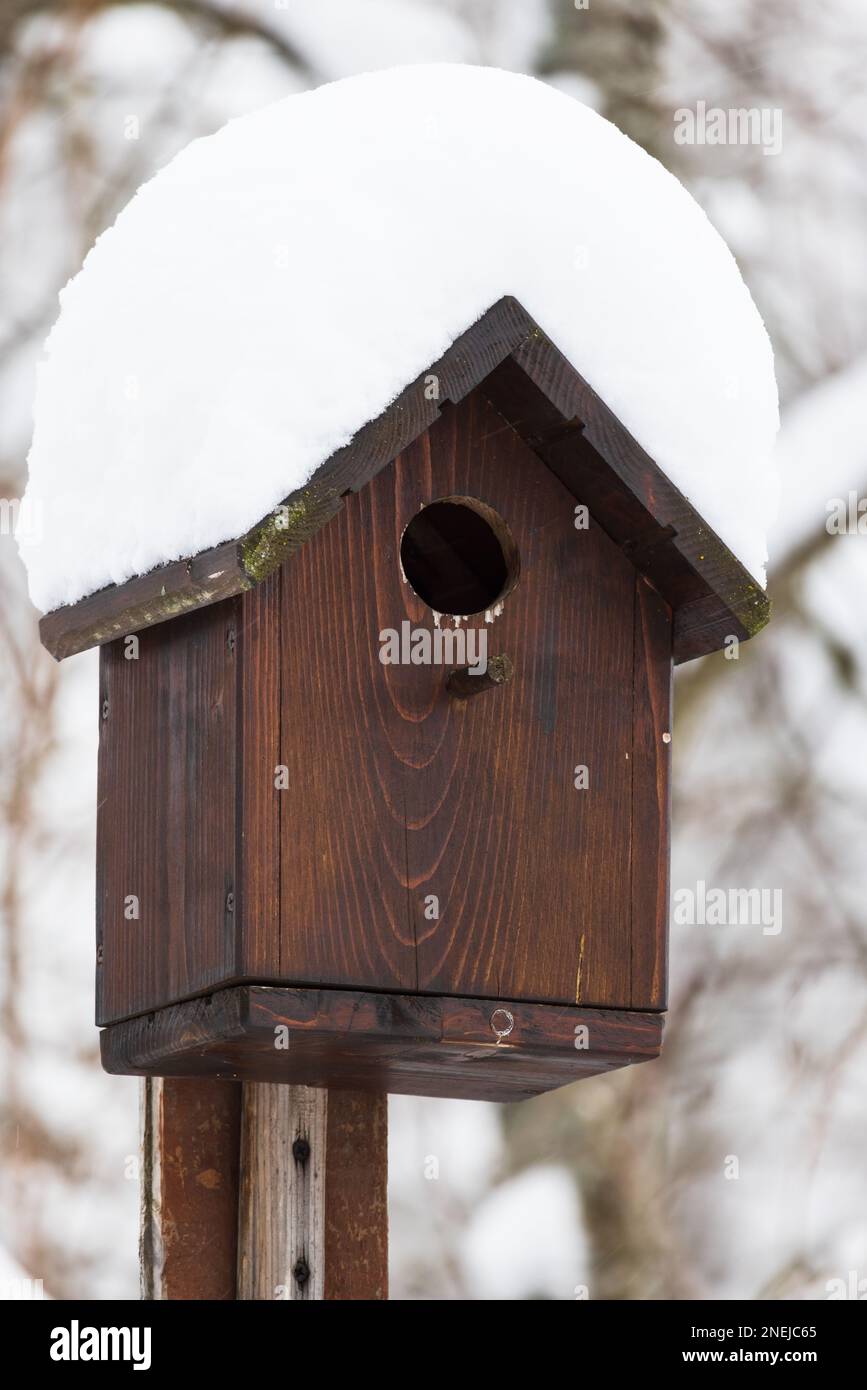 Wooden birdhouse on pole with snow on roof Stock Photo